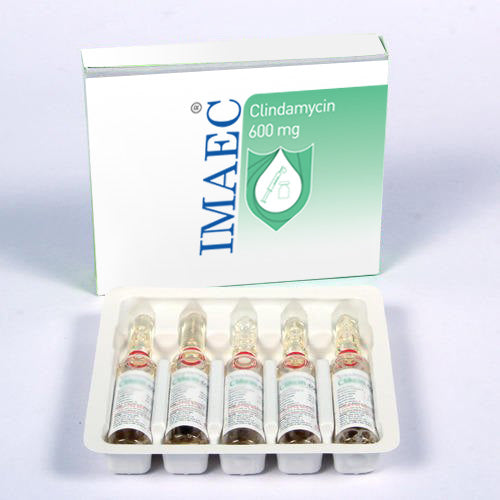 Clindamycin 600 mg